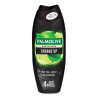 COL PALM ŻEL 500ml  Men CHARGE UP  new