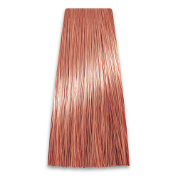 CHANT.PROF 100 g farba COLORART nr 8/46