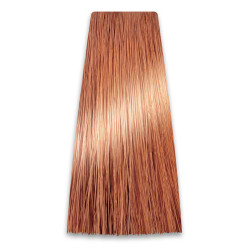 CHANT.PROF 100 g farba COLORART nr 9/04