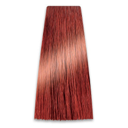 CHANT.PROF 100 g farba COLORART nr 6/44