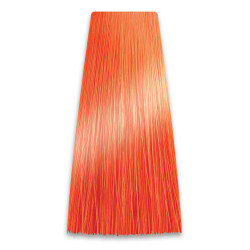 CHANT.PROF 100 g farba COLORART nr 10/44