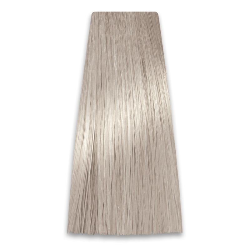 CHANT.PROF 100 g farba COLORART nr 1000/1