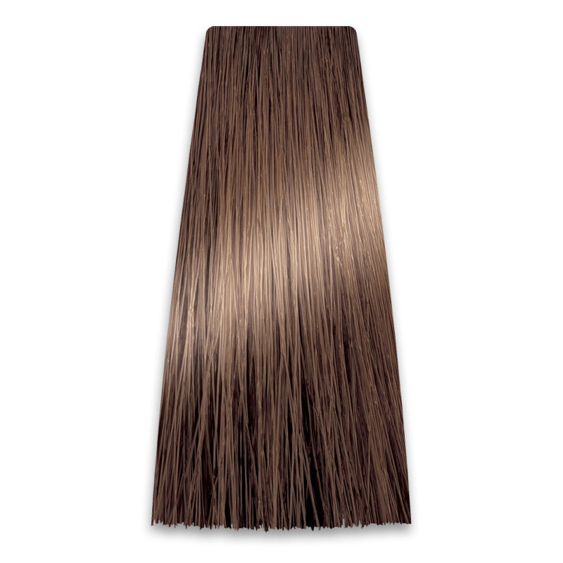 PROSALON PROFESSIONAL Intensis Color Art Profesjonalna Farba do włosów nr 6.0 ciemny blond 100g PROSALON PROFESSIONAL Intensis Color Art Profesjonalna Farba do włosów nr 6.0 ciemny blond 100g